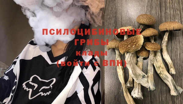 прущий лед Алексин