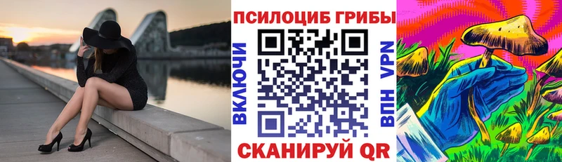 купить наркотики цена  KRAKEN   Псилоцибиновые грибы Psilocybine cubensis  Буй 